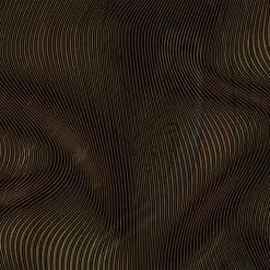 SEAC - Veste De Chasse Sous-marine ALGA 3mm -Aqua Sport Soldes seac veste de chasse sous marine alga 3mm 3